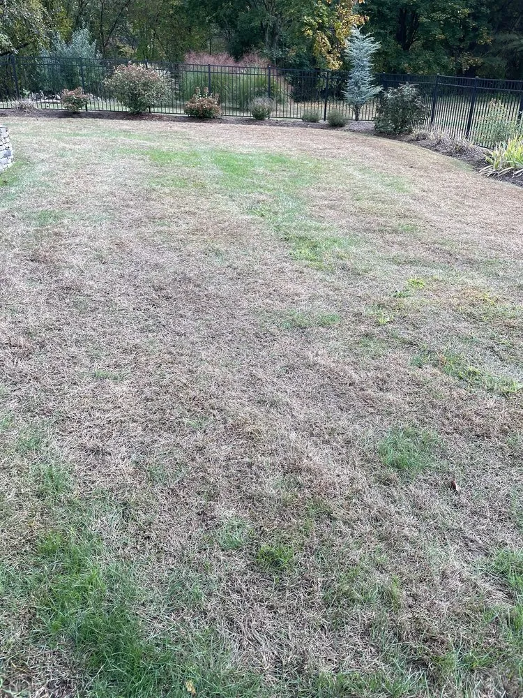 Professional yard maintenance for residential properties in Windsor, CT by TruGreen Lawn Care