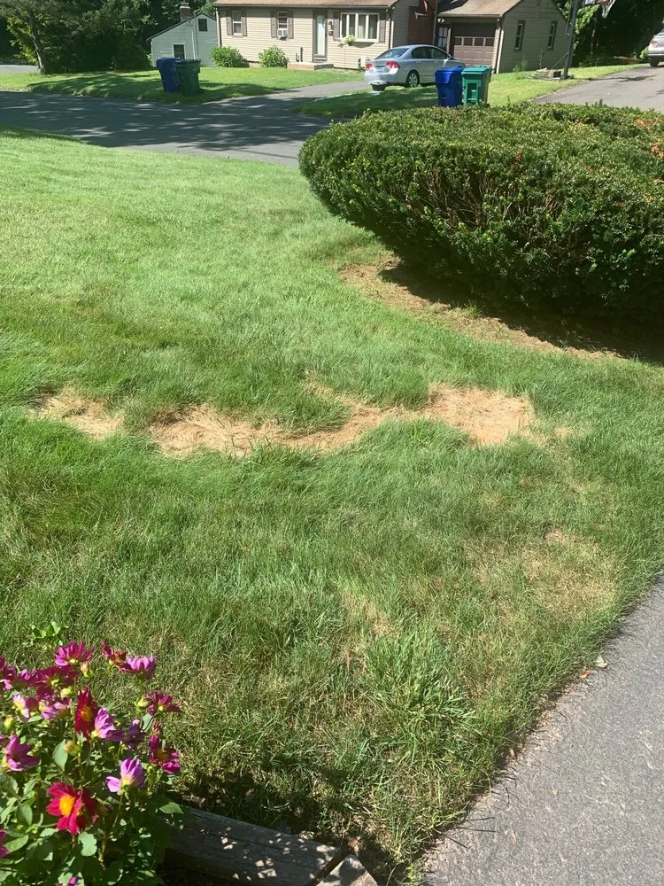 Local landscape installation for homes in Windsor, CT by TruGreen Lawn Care