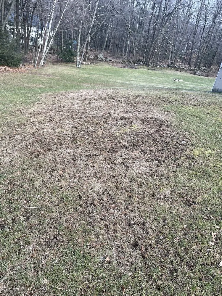 Expert landscaping services in Windsor, CT - TruGreen Lawn Care