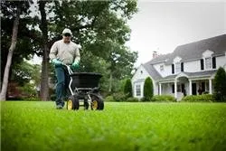 Trusted lawn care service with custom design across Milford, IA - TruGreen