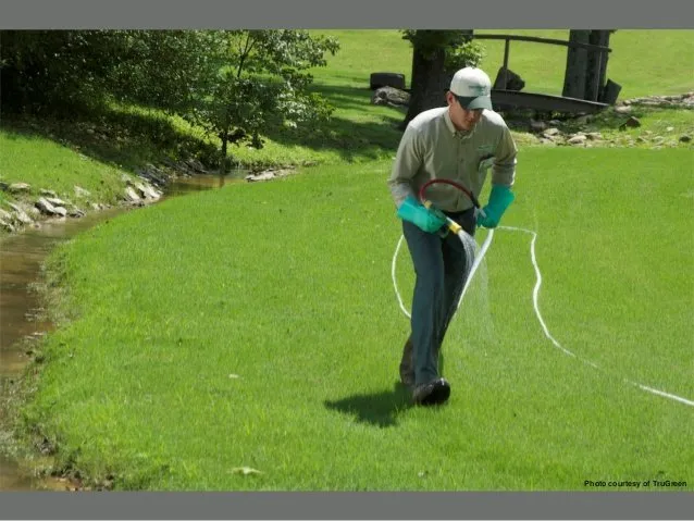 Trusted lawn mowing service in Milford, IA - TruGreen