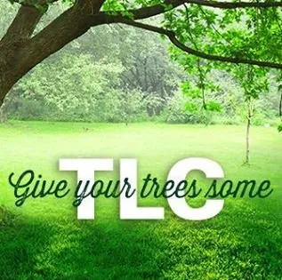 Top-rated lawn care service for outdoor upgrades across Milford, IA - TruGreen