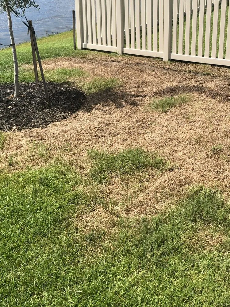 Top-rated garden landscaping for outdoor upgrades in Myrtle Beach, SC by TruGreen