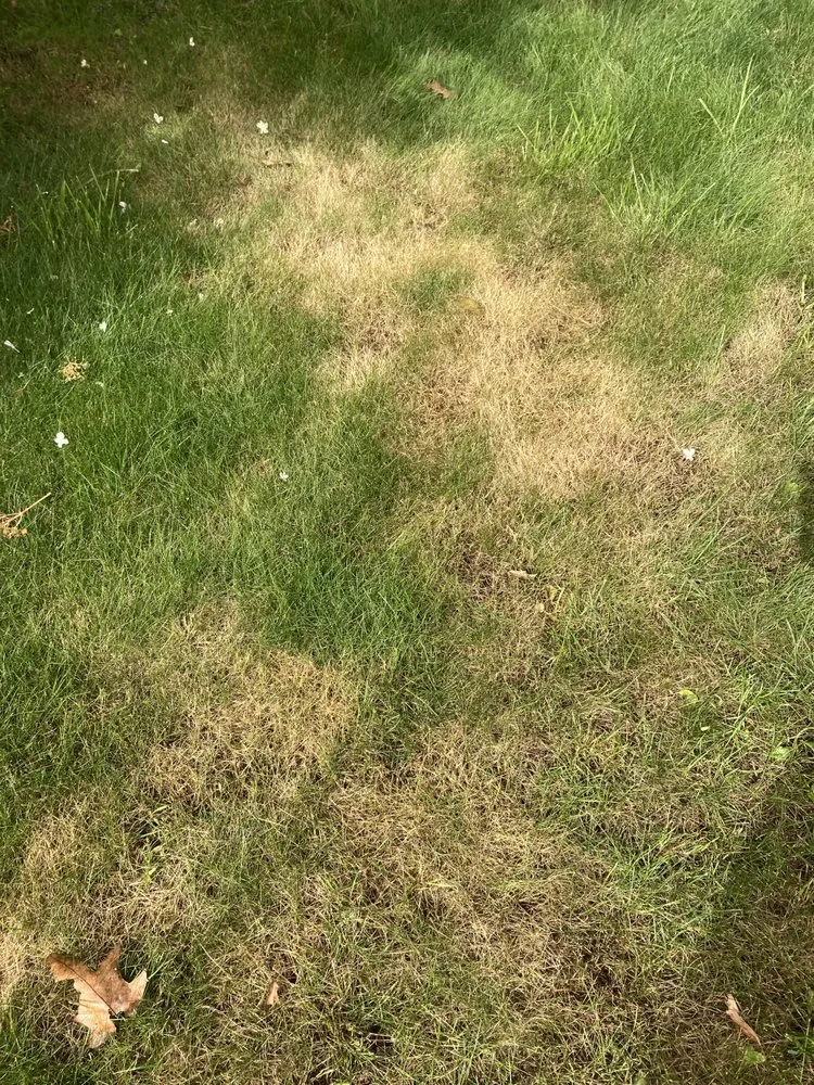 Affordable garden landscaping with custom design across North Andover, MA - TruGreen