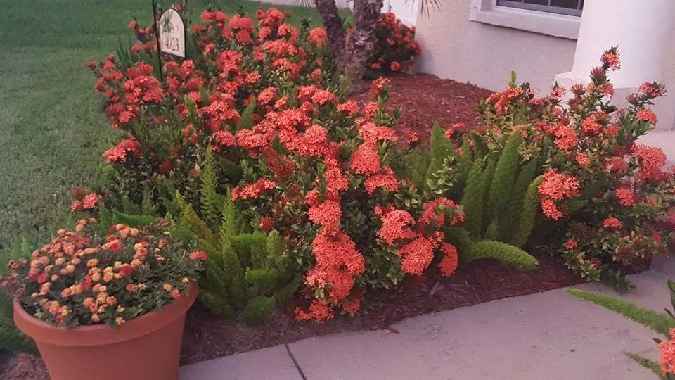 Top-rated landscape installation experts serving North Andover, MA - TruGreen