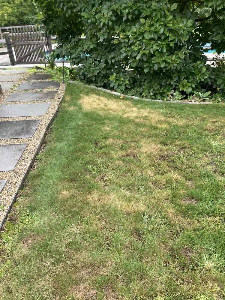 Local garden landscaping with custom design in North Andover, MA by TruGreen