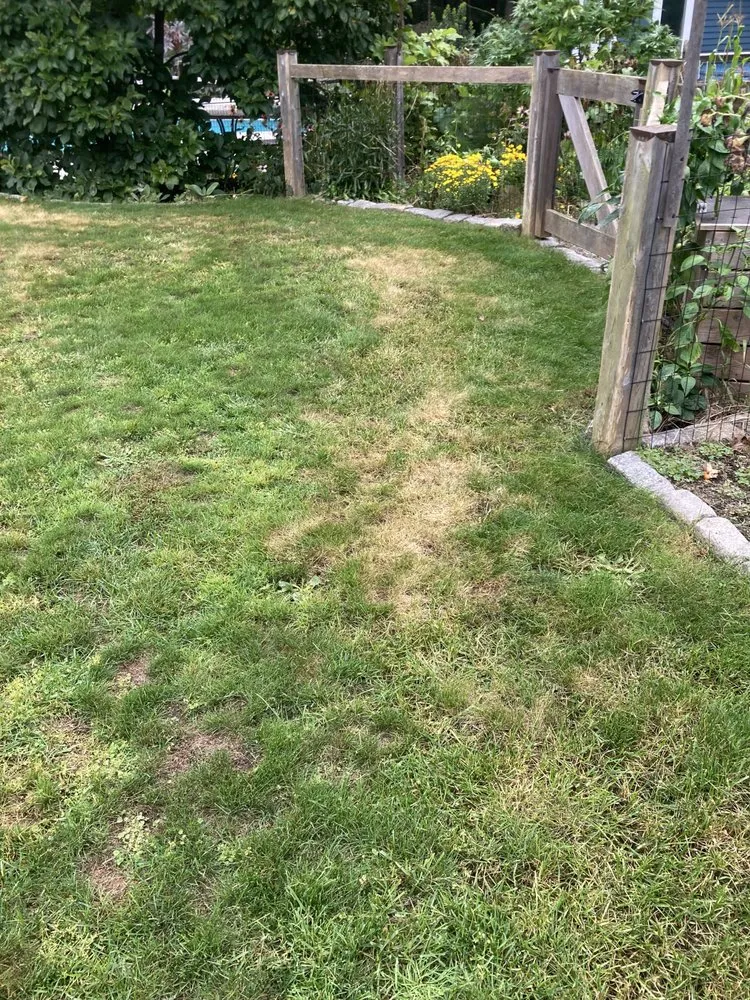 Professional lawn care service experts serving North Andover, MA - TruGreen