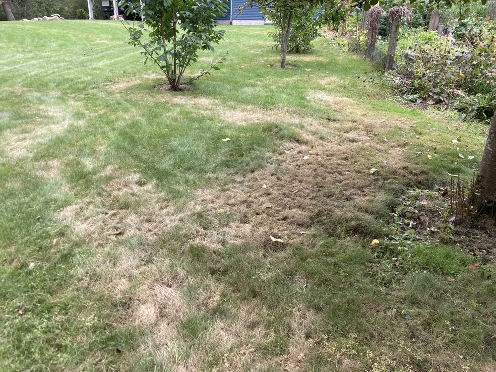 Local residential landscaping in North Andover, MA - TruGreen