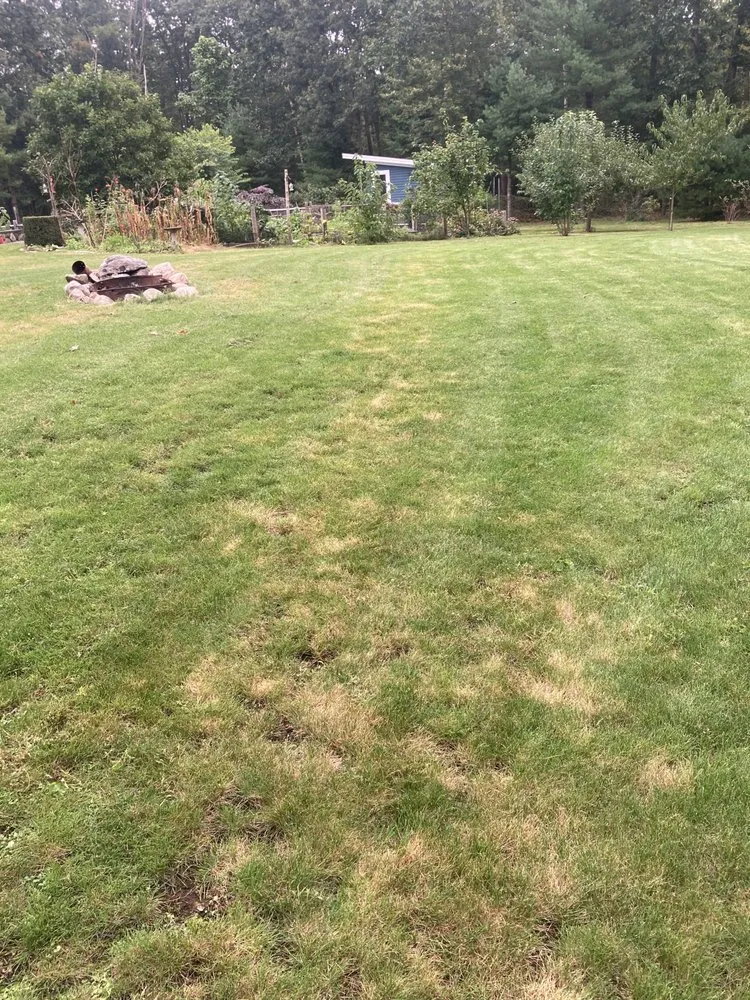 Trusted yard maintenance in North Andover, MA by TruGreen