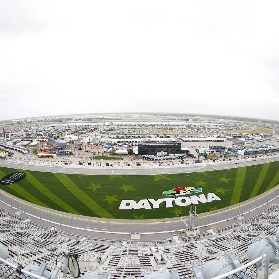 Top-rated landscape installation in Alexandria, LA by TruGreen of Alexandria