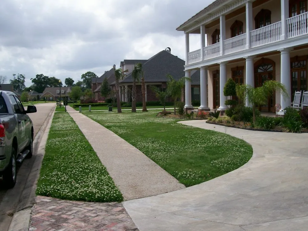 Top-rated yard cleanup service for residential properties in Lake Charles, LA by TruGreen of Lake Charles