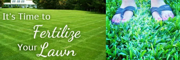 Expert yard cleanup service in Lake Charles, LA - TruGreen of Lake Charles