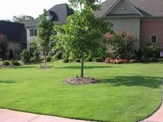 Local outdoor landscaping in Lake Charles, LA by TruGreen of Lake Charles