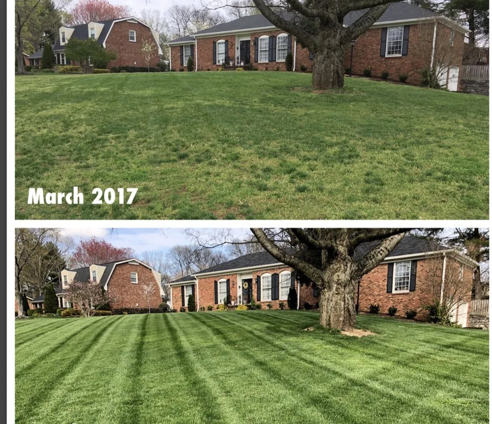 Affordable outdoor landscaping in Lake Charles, LA - TruGreen of Lake Charles