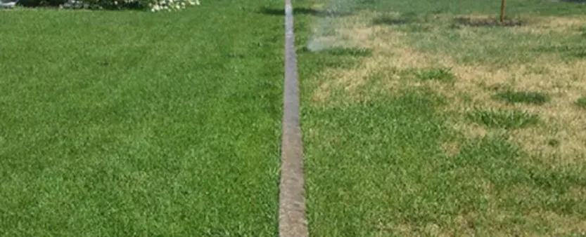 Reliable garden landscaping for year-round maintenance in Lake Charles, LA by TruGreen of Lake Charles