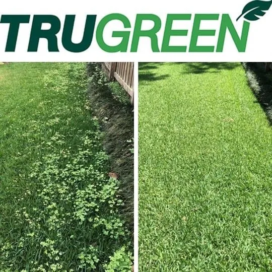 Trusted garden landscaping for outdoor upgrades in Lake Charles, LA by TruGreen of Lake Charles