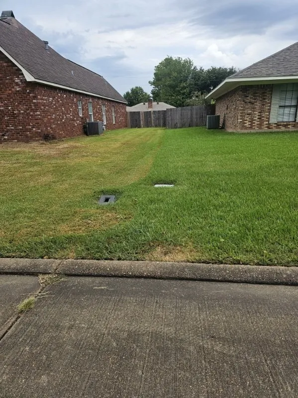 Expert garden landscaping experts serving Bossier City, LA - Trugreen of Shreveport