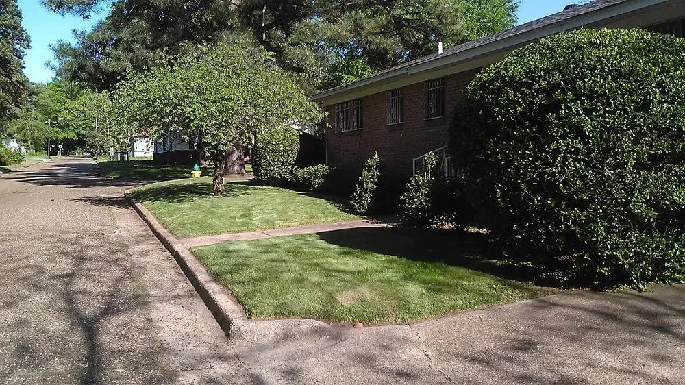 Top-rated landscape design in Texarkana, TX by TruGreen