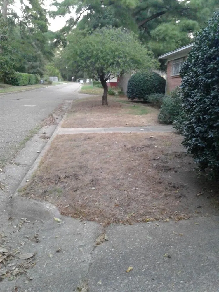 Expert lawn mowing service in Texarkana, TX by TruGreen