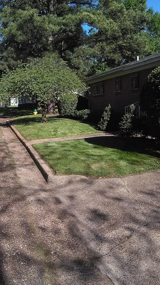 Expert landscape installation experts serving Texarkana, TX - TruGreen