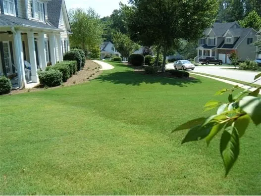 Trusted yard maintenance in West Monroe, LA by TruGreen