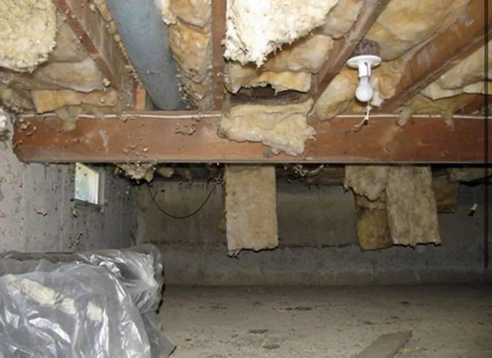 Local landscaping services experts serving Westbrook, ME - TruGreen