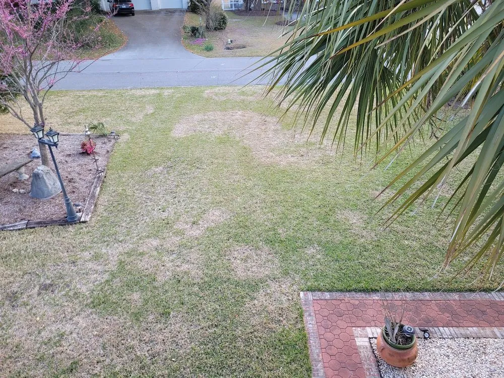 Custom residential landscaping in Wilmington, NC - Trugreen