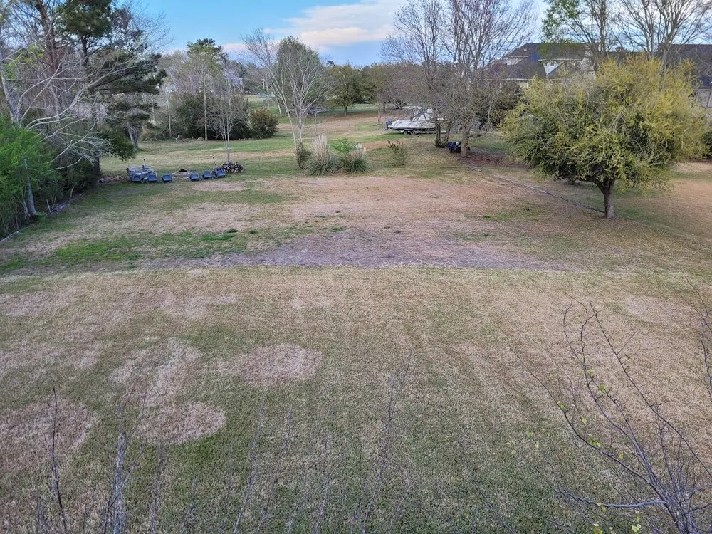 Custom landscape installation in Wilmington, NC - Trugreen