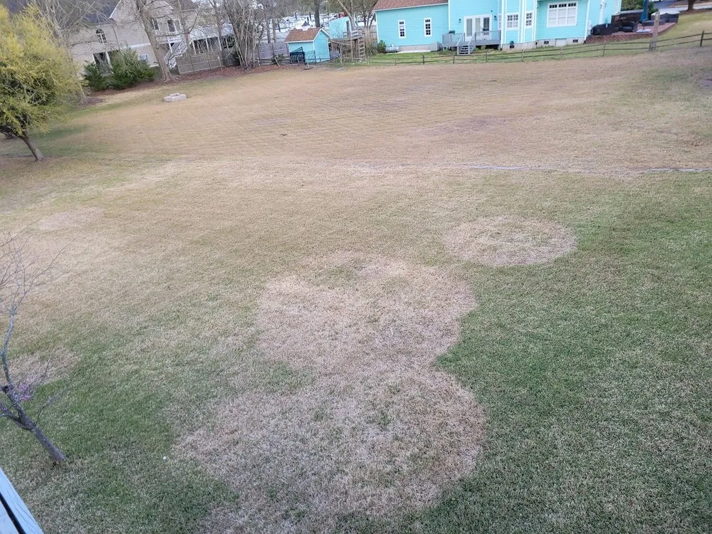 Professional landscape design for homes in Wilmington, NC by Trugreen