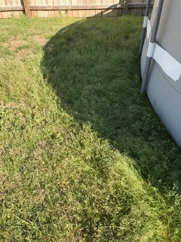 Expert yard maintenance for year-round maintenance across Wilmington, NC - Trugreen