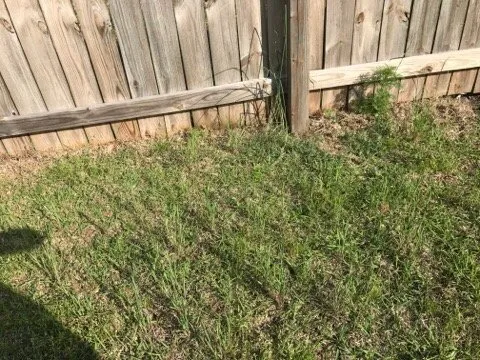 Expert outdoor landscaping for outdoor upgrades in Wilmington, NC by Trugreen