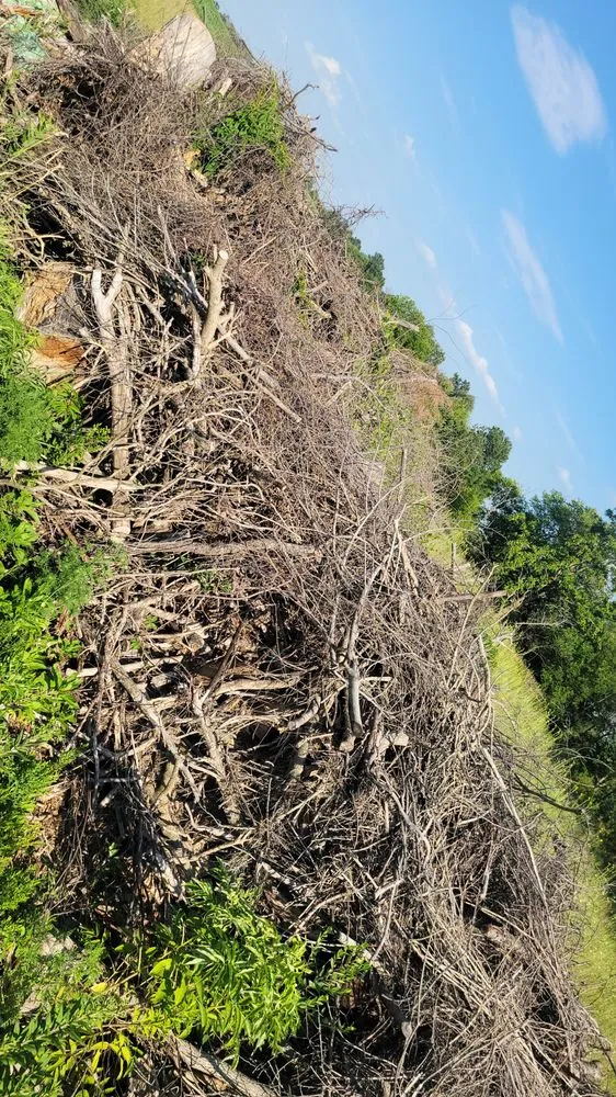 Expert garden landscaping for beautiful yards across Kirksville, MO - Truitt Logging