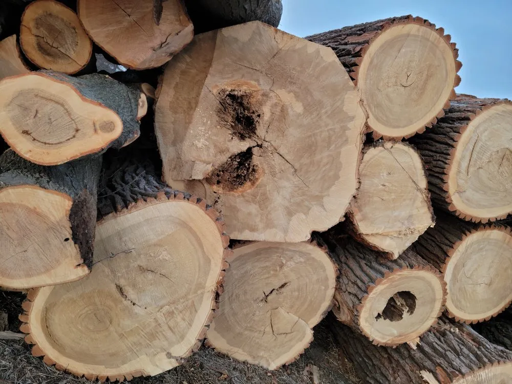 Custom outdoor landscaping in Kirksville, MO - Truitt Logging