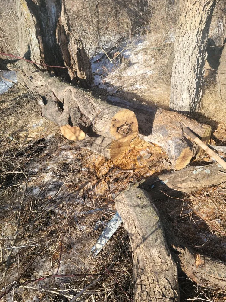 Reliable garden landscaping near you in Kirksville, MO by Truitt Logging