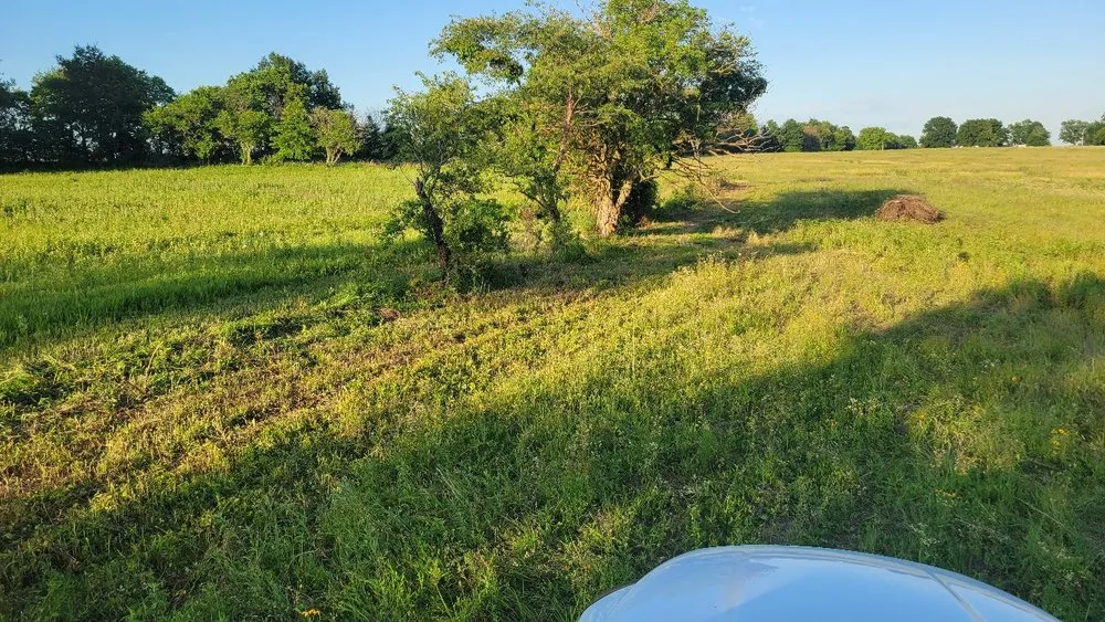 Professional landscaping services for beautiful yards across Kirksville, MO - Truitt Logging