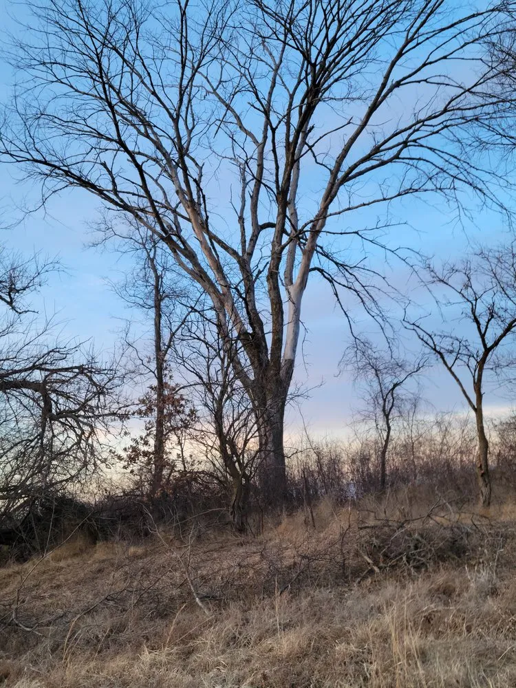 Reliable landscaping services for residential properties in Kirksville, MO by Truitt Logging