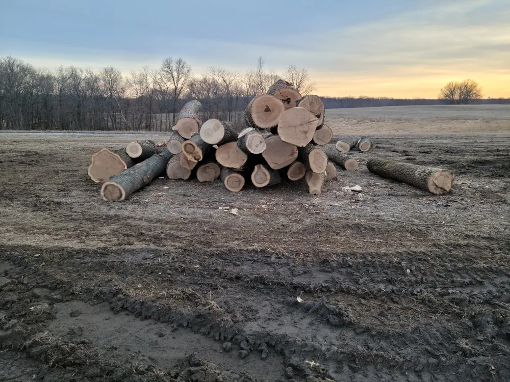 Reliable landscape installation for year-round maintenance in Kirksville, MO by Truitt Logging