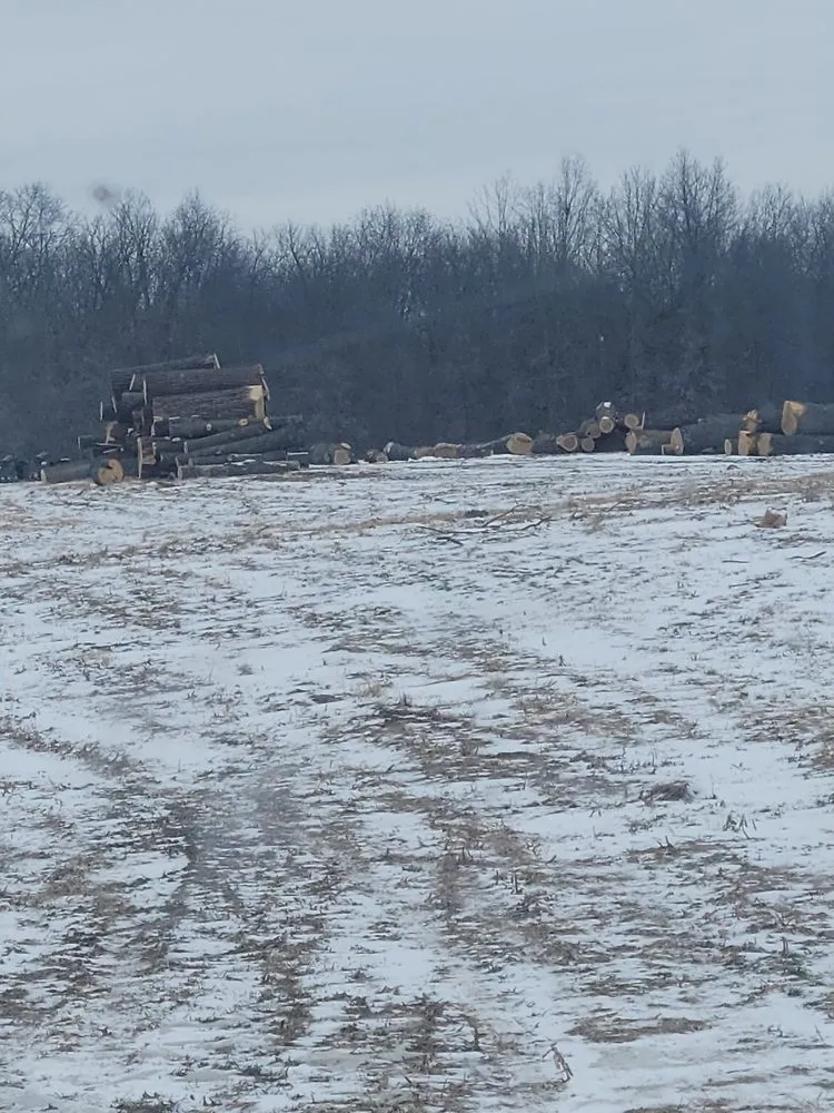 Reliable residential landscaping experts serving Kirksville, MO - Truitt Logging