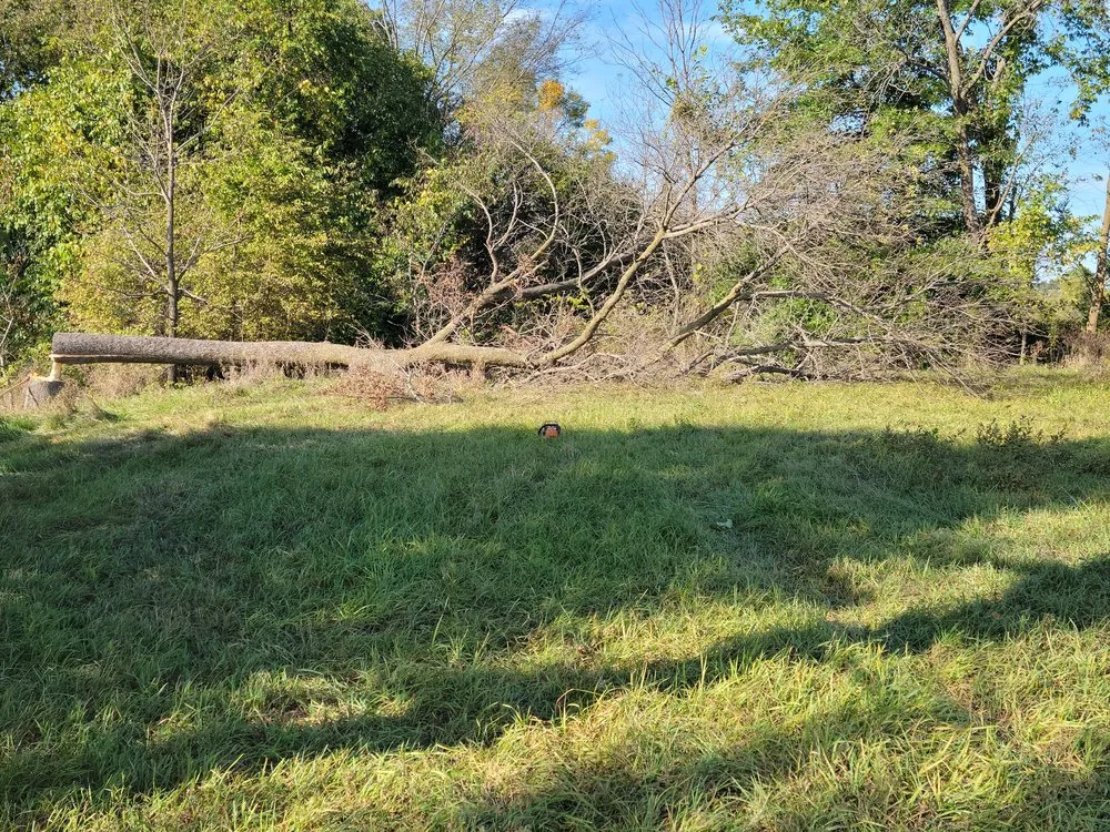 Expert lawn care service in Kirksville, MO by Truitt Logging