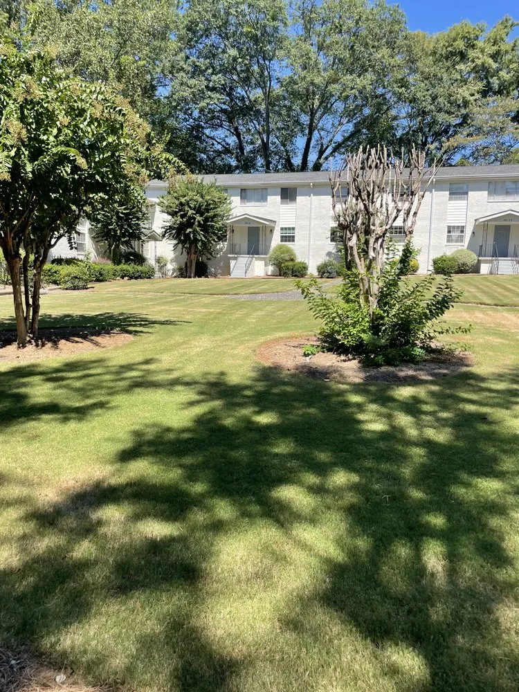 Professional yard maintenance experts serving Union City, GA - Truitt’s Collective Services