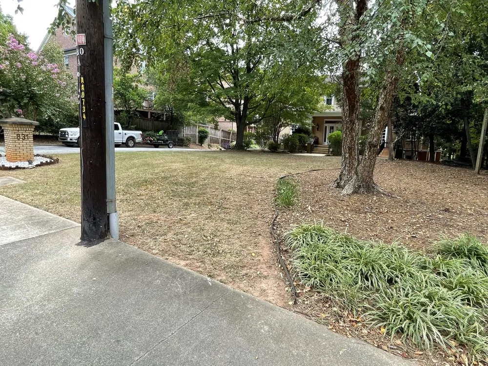 Trusted lawn care service for residential properties across Union City, GA - Truitt’s Collective Services