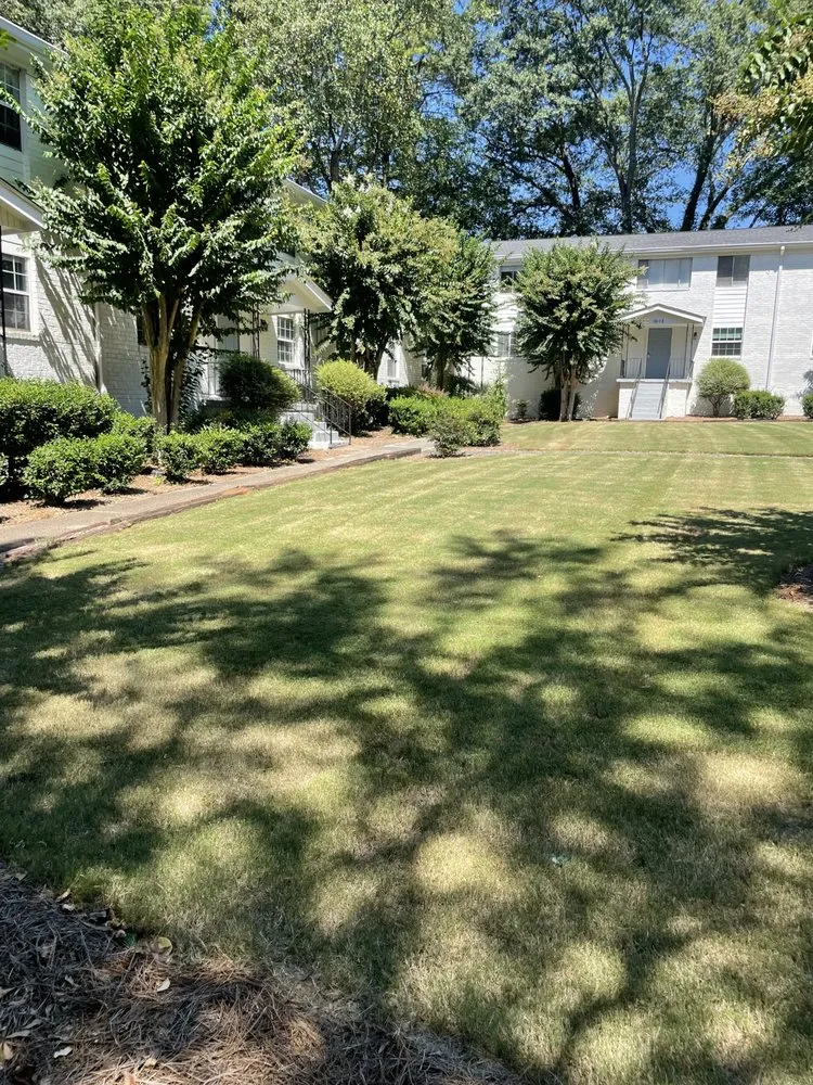 Trusted landscaping services for year-round maintenance in Union City, GA by Truitt’s Collective Services