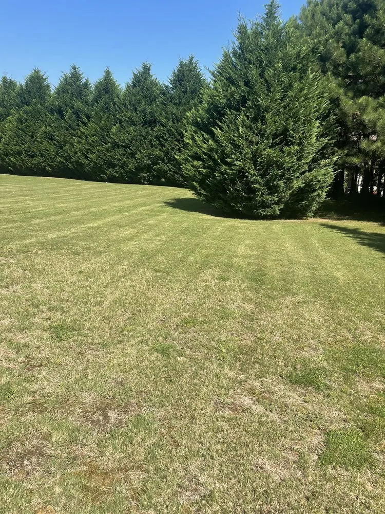 Custom residential landscaping experts serving Union City, GA - Truitt’s Collective Services