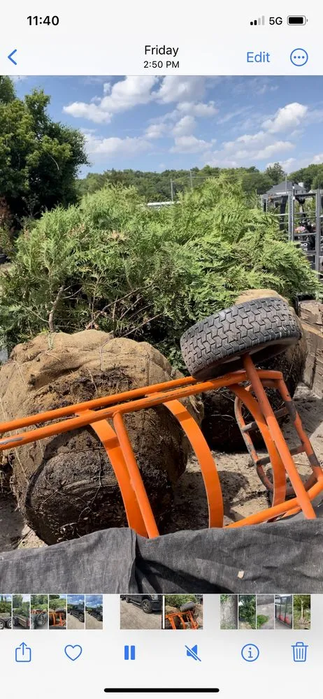 Affordable garden landscaping near you in Breckenridge Hills, MO by Trujillo Gardens landscape and maintenance