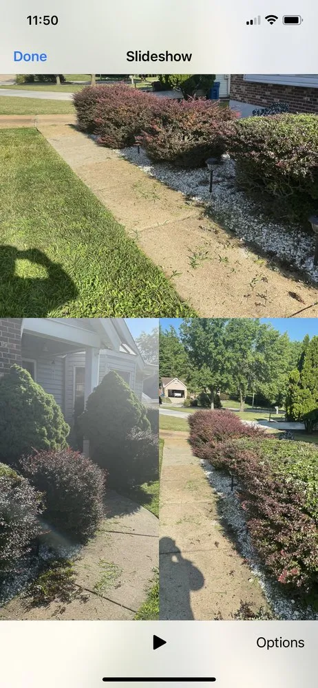 Custom lawn mowing service for year-round maintenance across Breckenridge Hills, MO - Trujillo Gardens landscape and maintenance