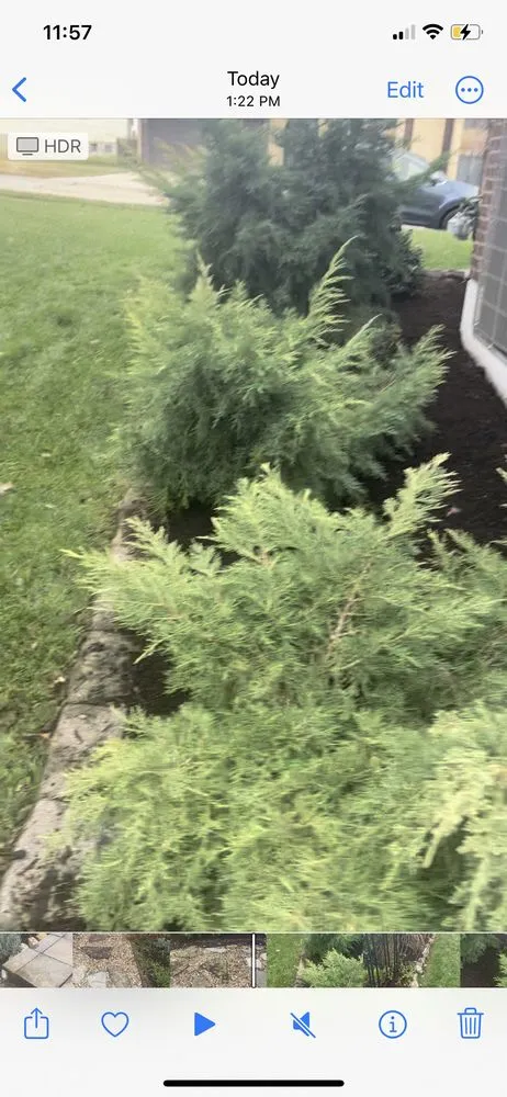 Expert residential landscaping for beautiful yards across Breckenridge Hills, MO - Trujillo Gardens landscape and maintenance