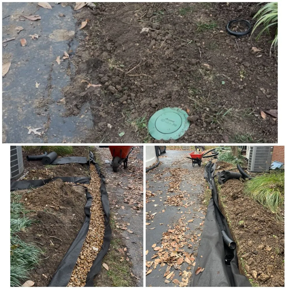 Expert yard cleanup service experts serving Breckenridge Hills, MO - Trujillo Gardens landscape and maintenance