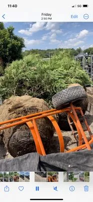 Trujillo Gardens landscape and maintenance