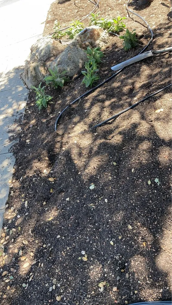 Affordable yard cleanup service for residential properties in North Richmond, CA by Trujillo Landscaping