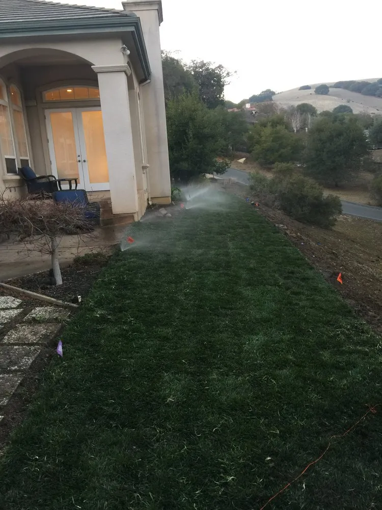 Expert yard cleanup service in North Richmond, CA - Trujillo Landscaping